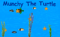 Munchy The Turtle